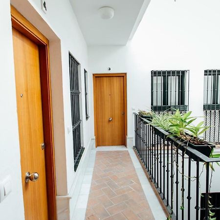 Bright Duplex W/ Terrace Daire Sevilla Dış mekan fotoğraf
