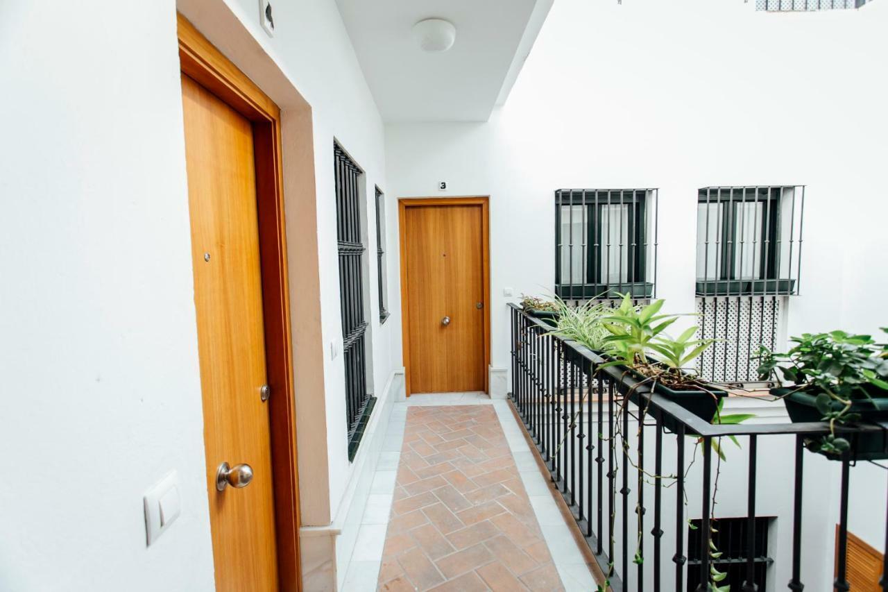Bright Duplex W/ Terrace Daire Sevilla Dış mekan fotoğraf