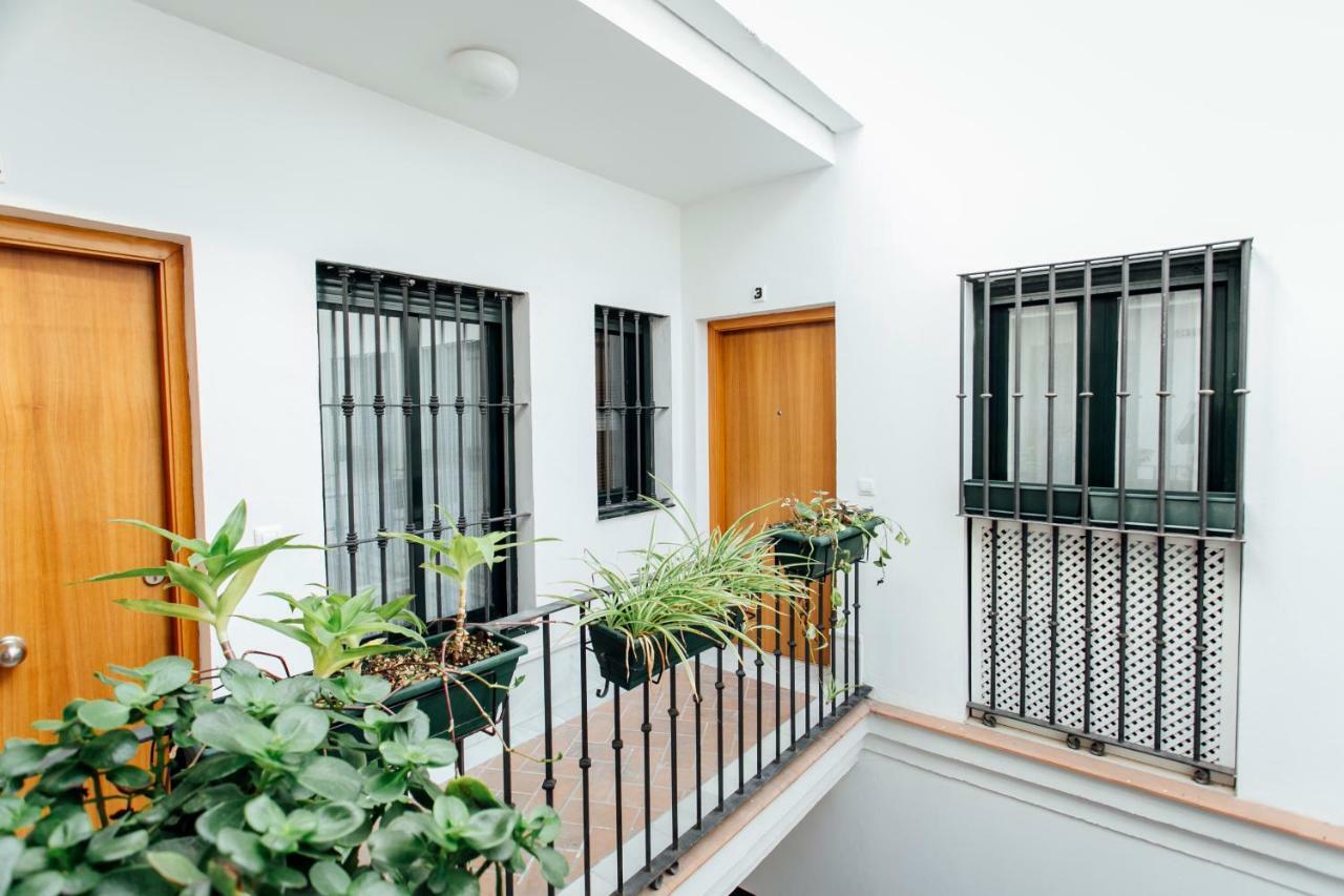 Bright Duplex W/ Terrace Daire Sevilla Dış mekan fotoğraf